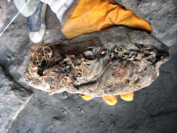 Самая древняя обувь в мире и настоящая пещера, где люди жили 5500 лет назад