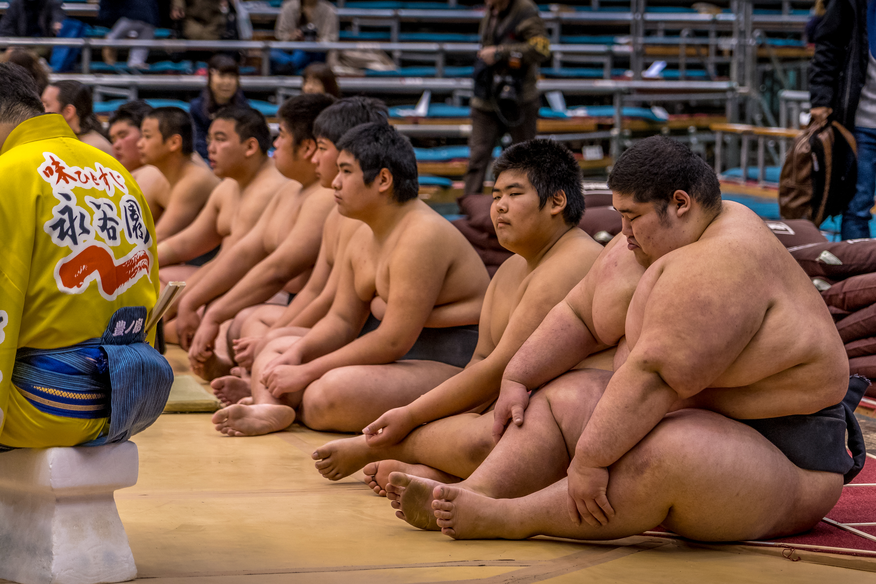 Что такое сумо. Японские борцы сумо.